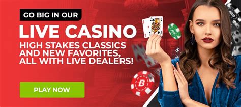 betonline comag|Play Live Dealer Casino Games Online at BetOnline.ag.